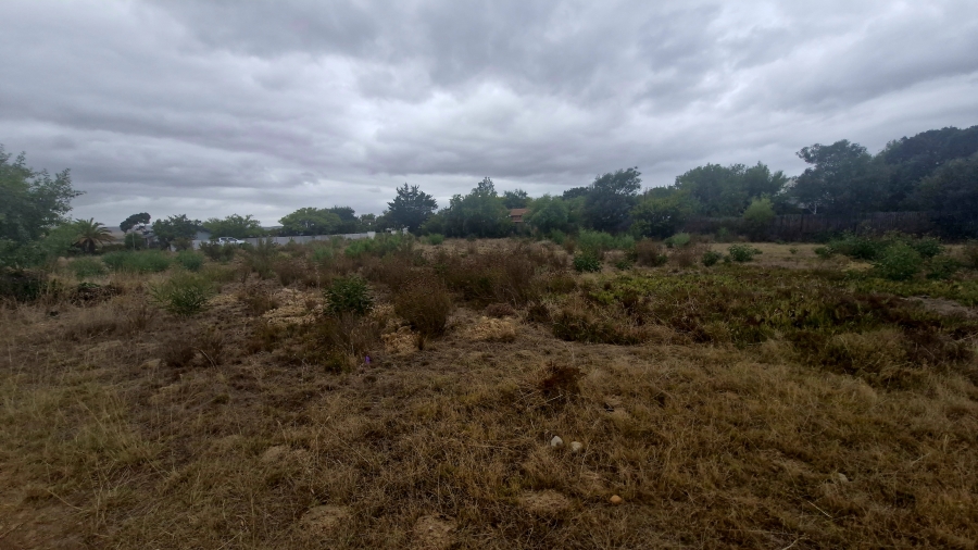 0 Bedroom Property for Sale in Bot River Avenues Western Cape